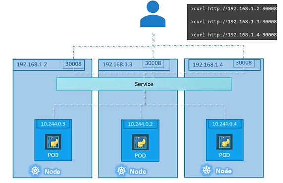 image-20210810012908444