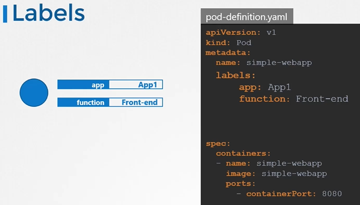 image-20210810130855053