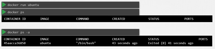 image-20210810153518477