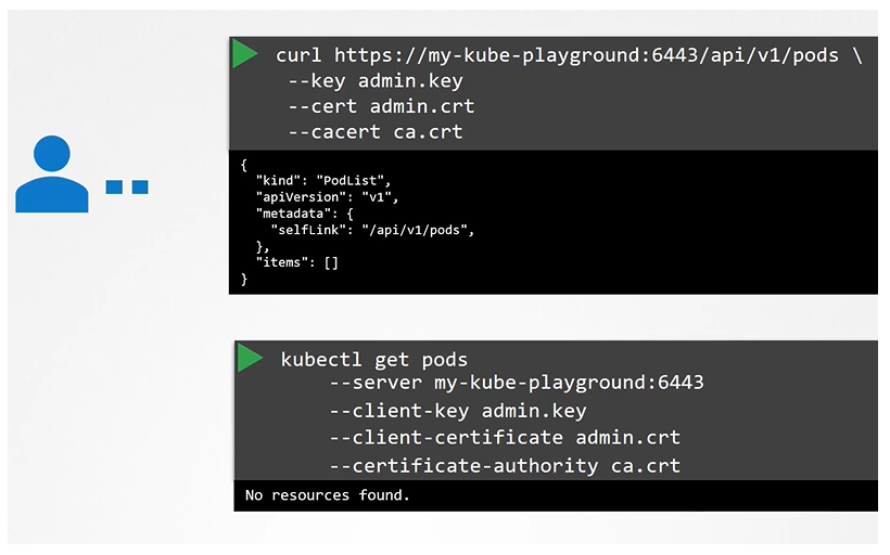 image-20210813113923561